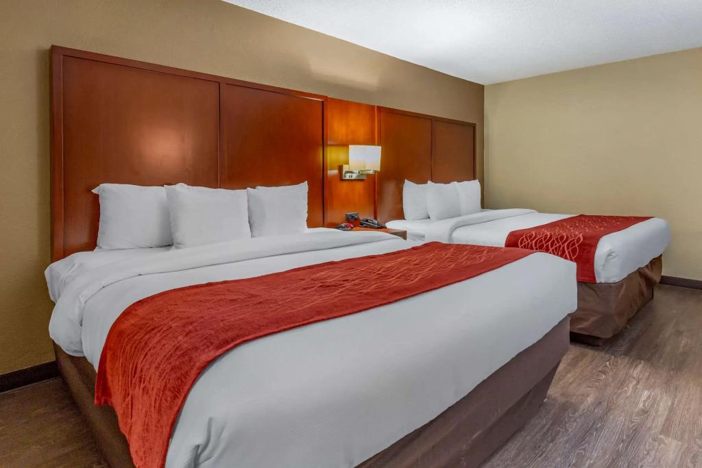 hotel image 20