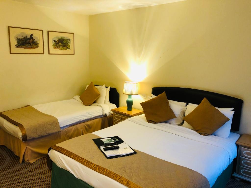 hotel image 10