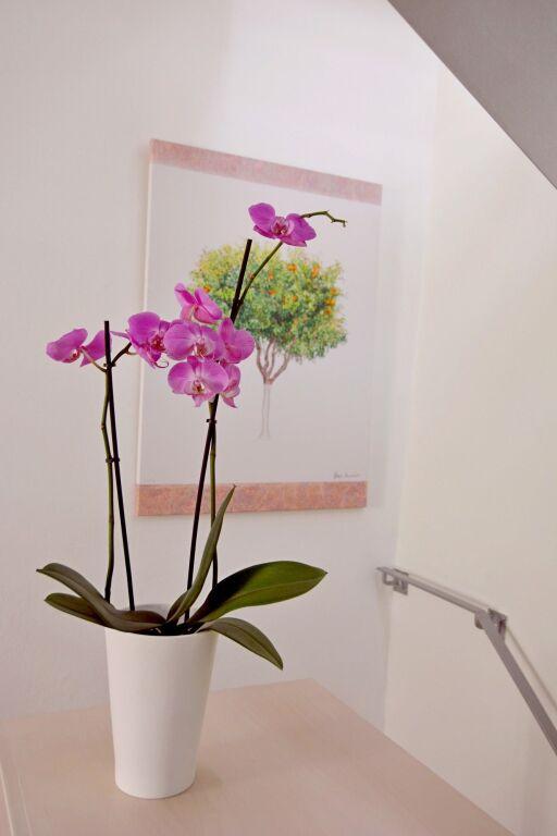 hotel image 18