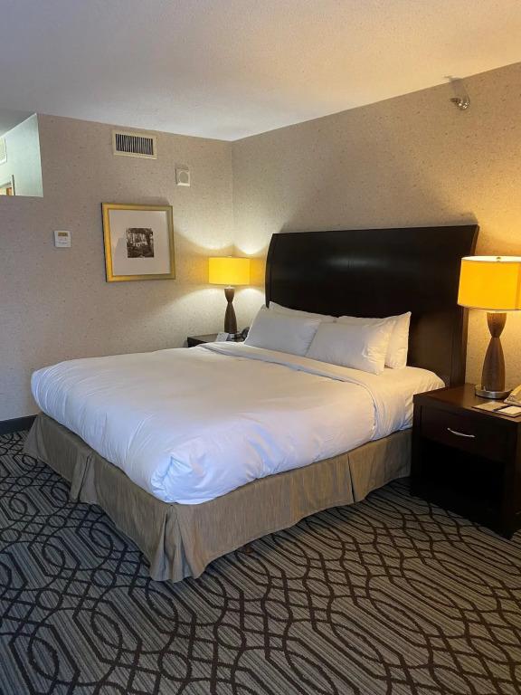 hotel image 44