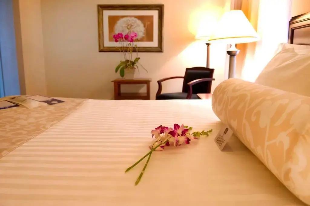 hotel image 16