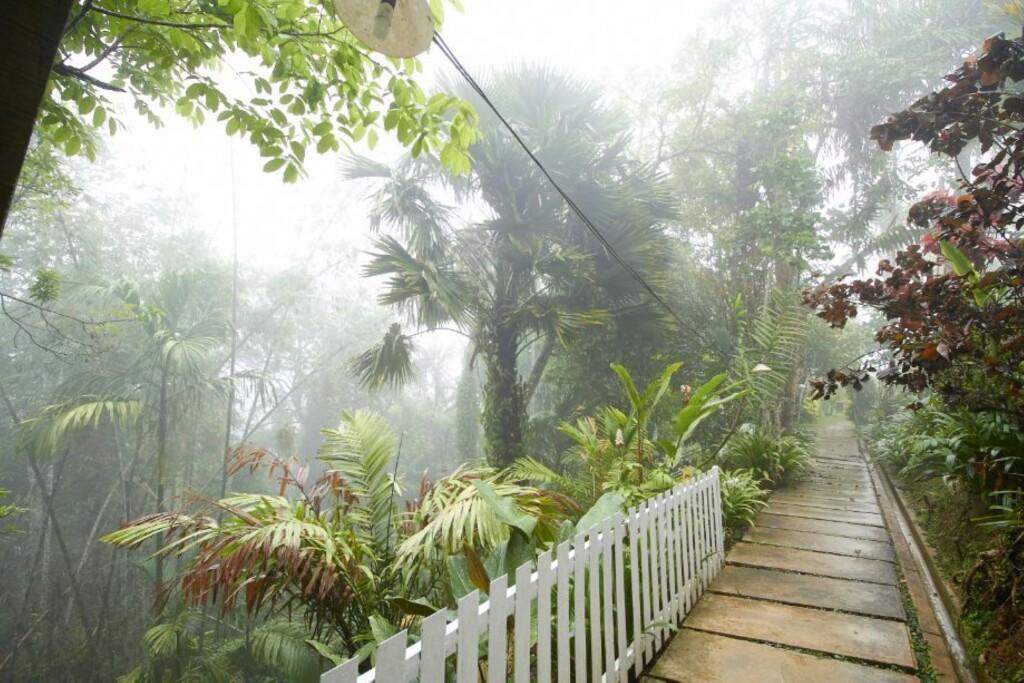 hotel image 33