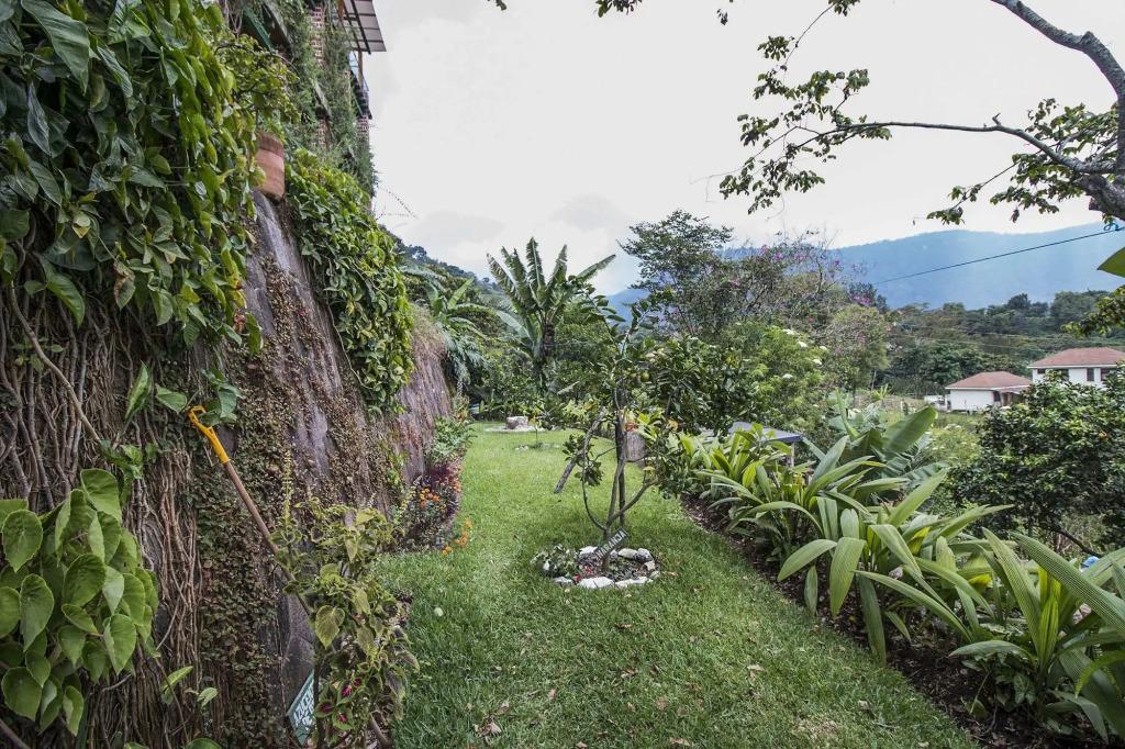 hotel image 31