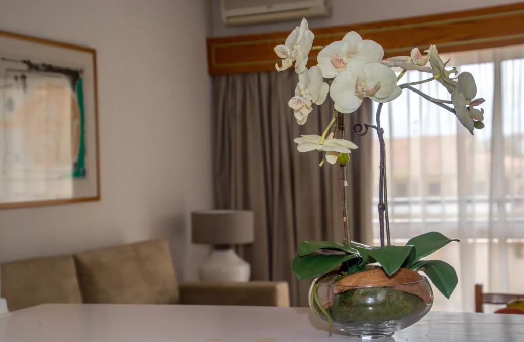 hotel image 31