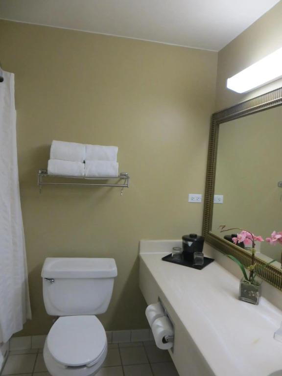 hotel image 11