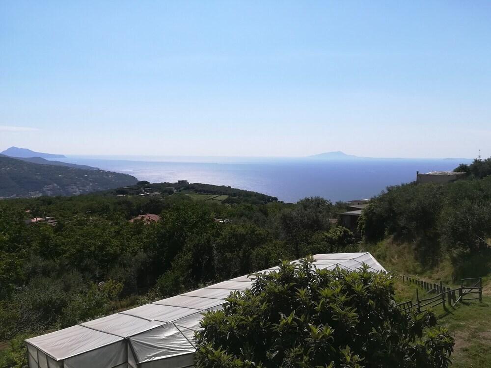 hotel image 19