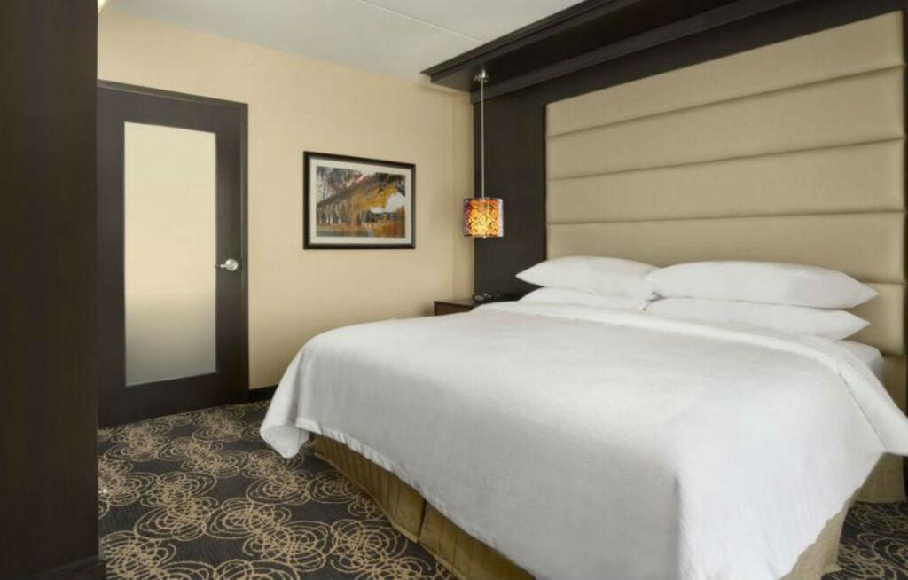 hotel image 11