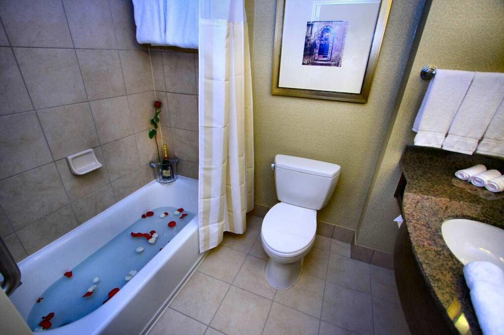 hotel image 21