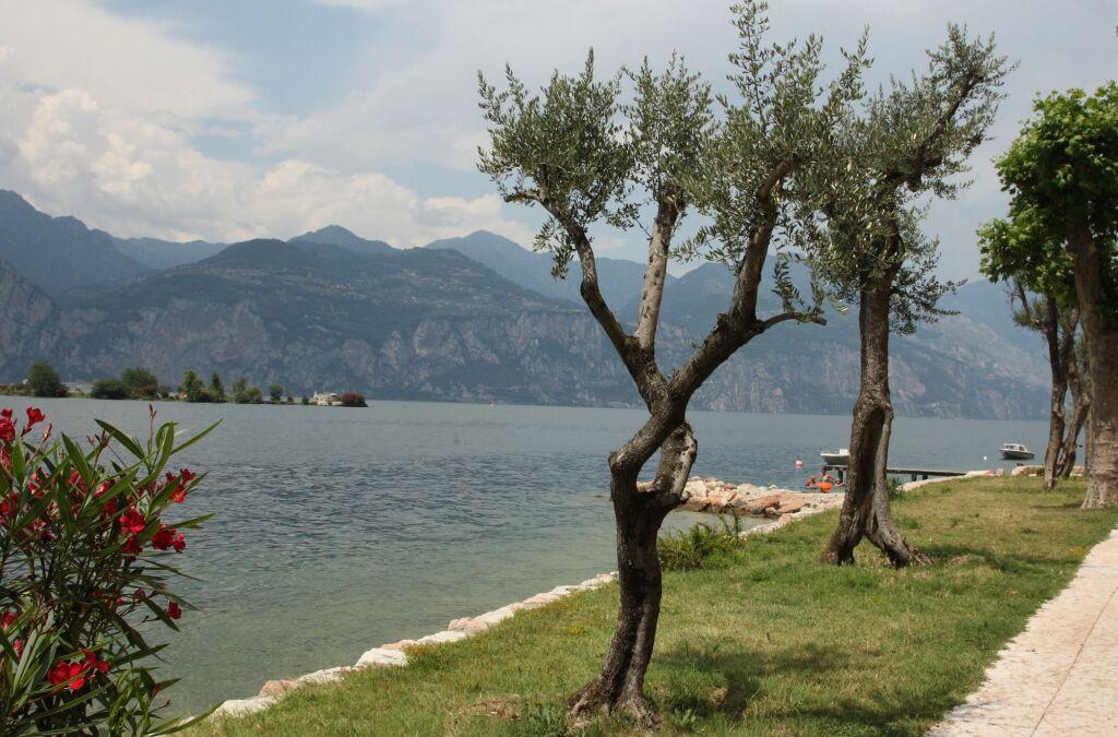 hotel image 14