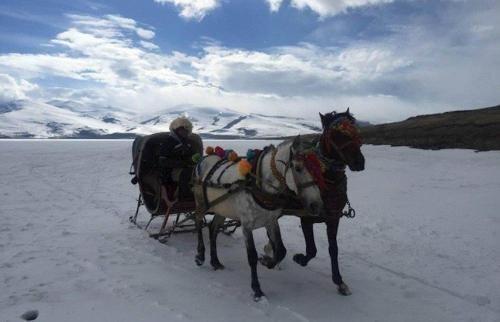 hotel image 32