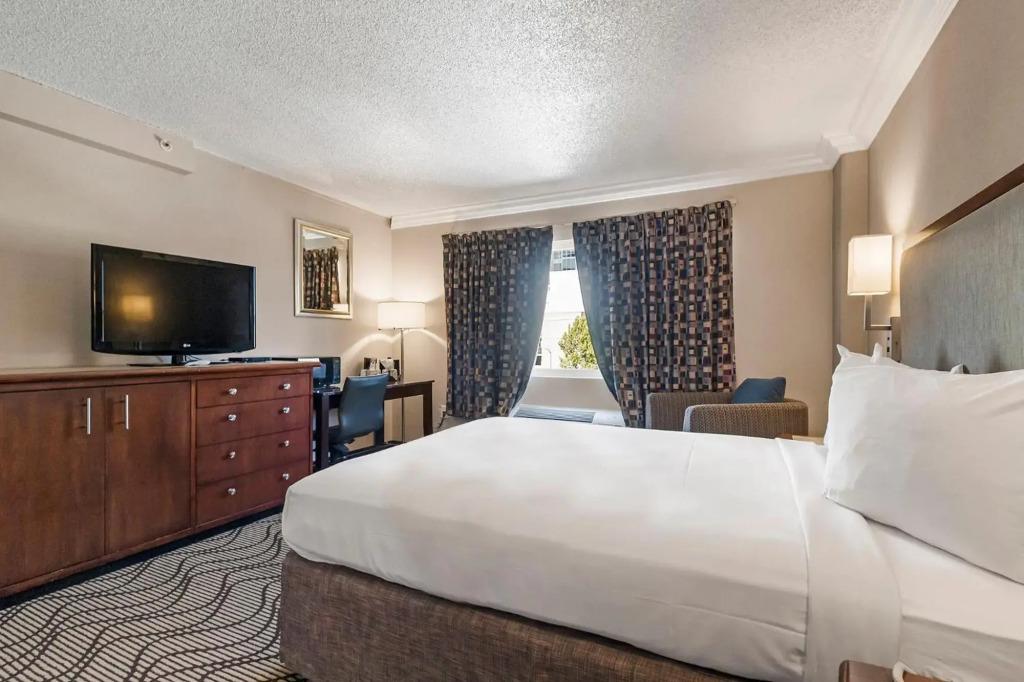 hotel image 17