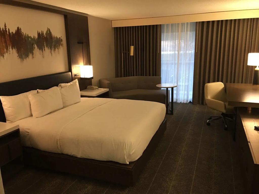 hotel image 36