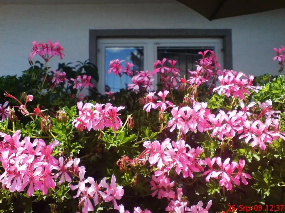 hotel image 22