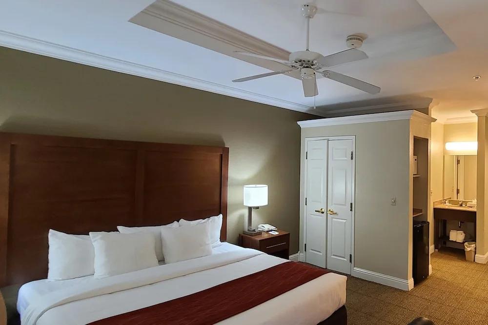 hotel image 31