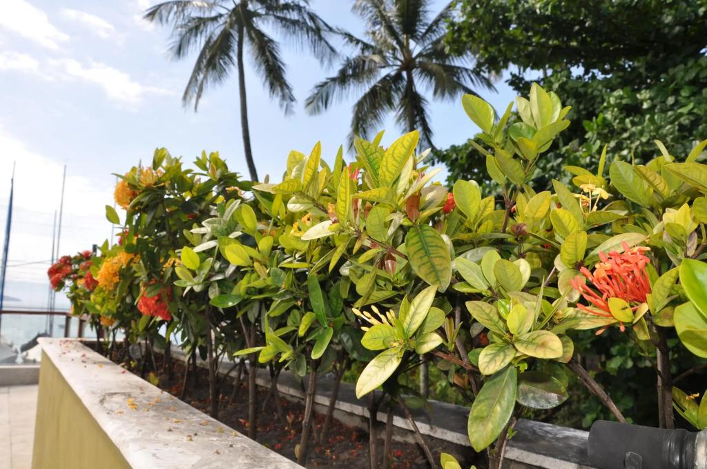 hotel image 14