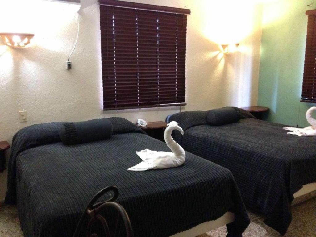 hotel image 16