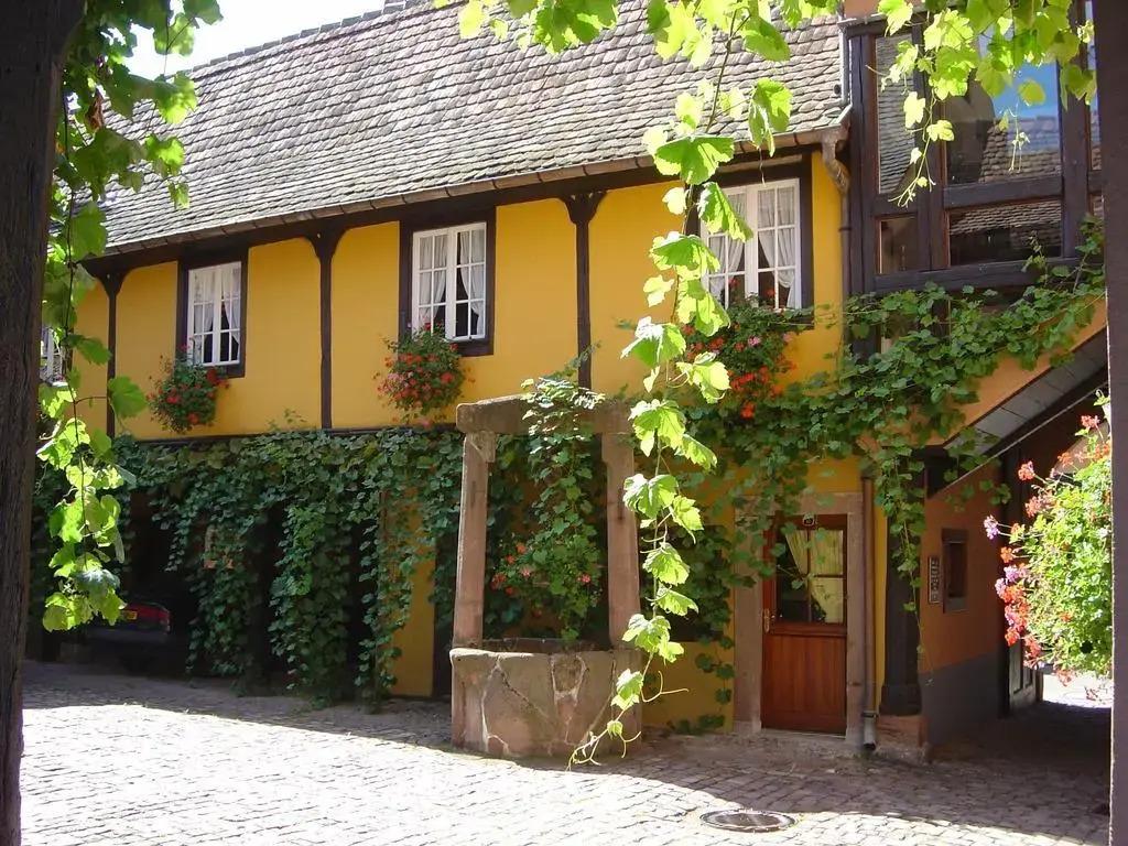 hotel image 8