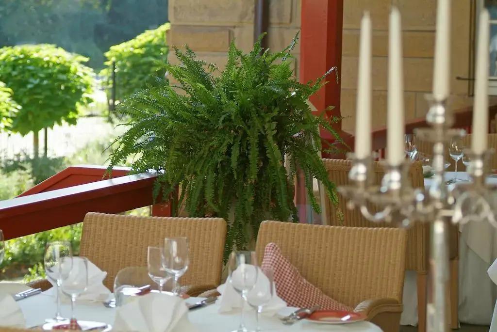 hotel image 19