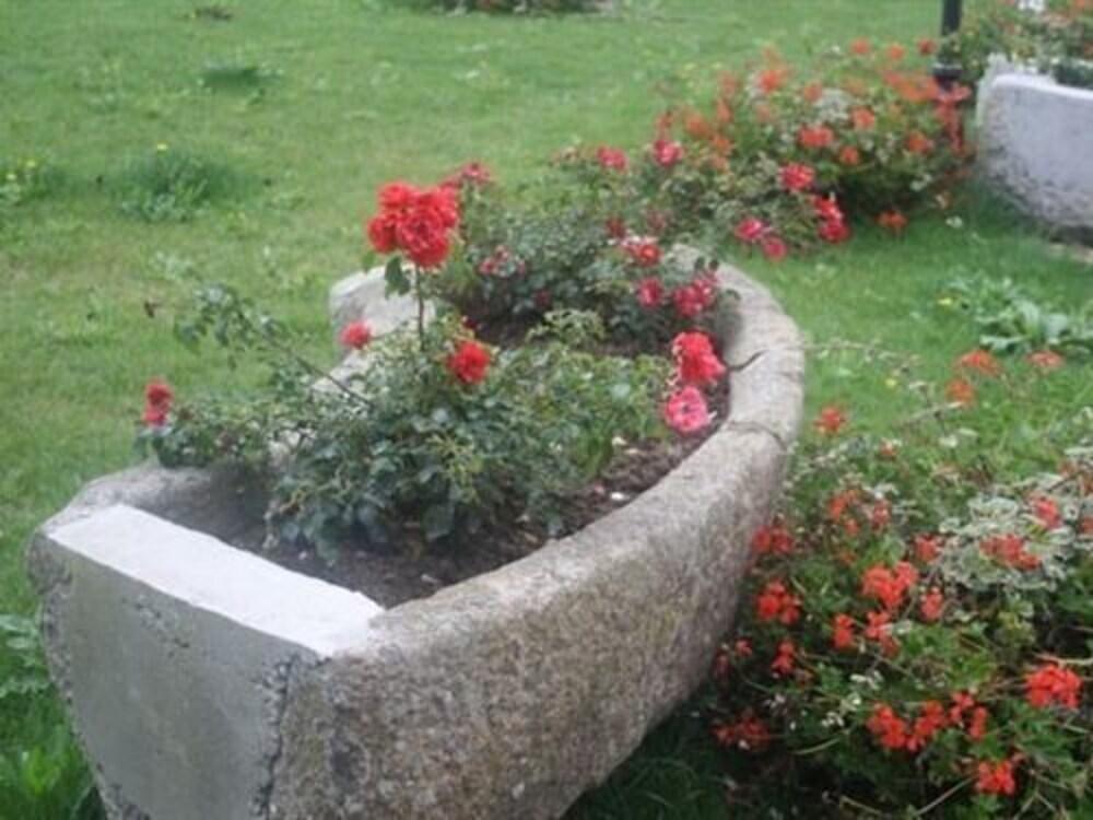 hotel image 21
