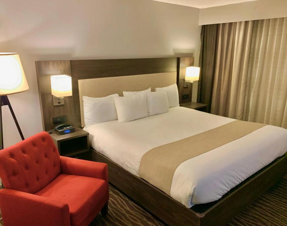 hotel image 10