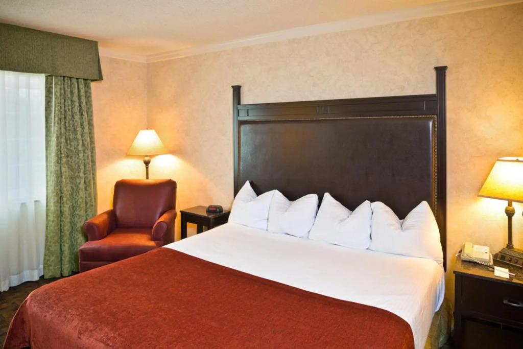 hotel image 8