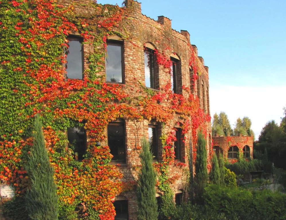 hotel image 24
