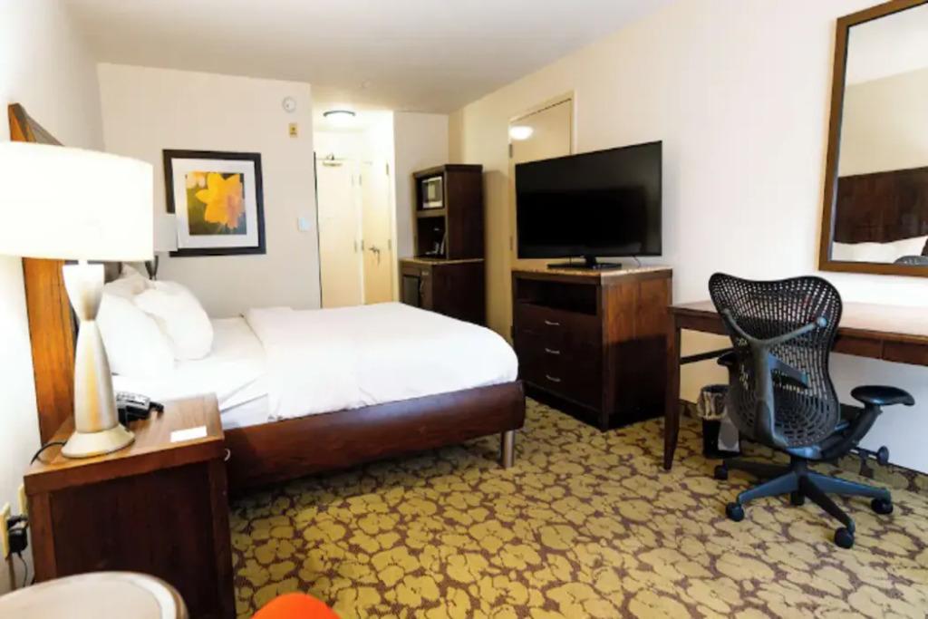 hotel image 26