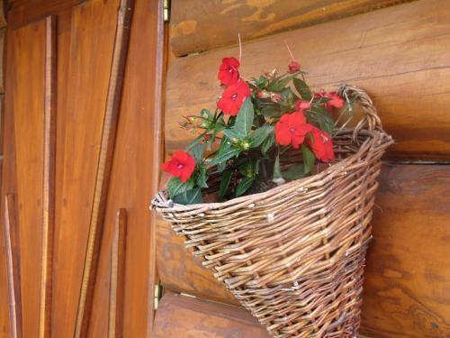 hotel image 37