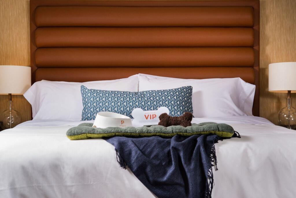 hotel image 12
