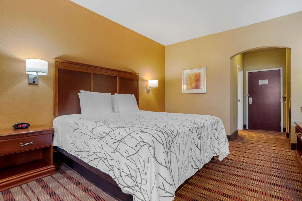hotel image 44