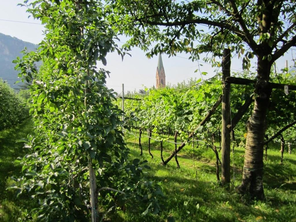 hotel image 23