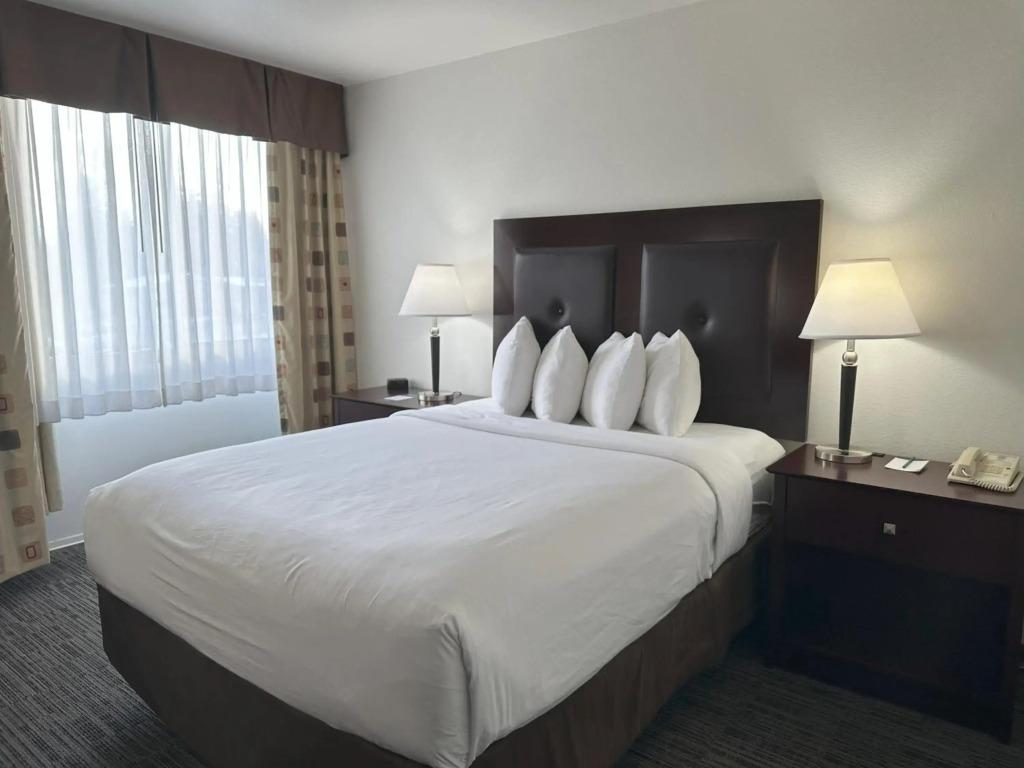 hotel image 29