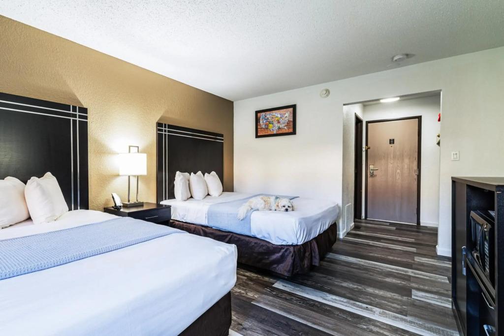 hotel image 12