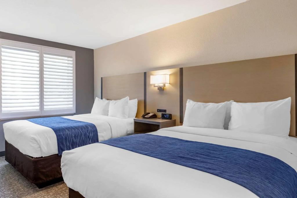 hotel image 20