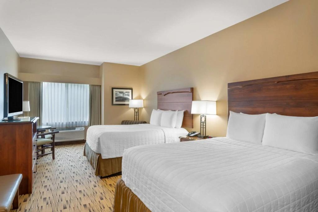 hotel image 21