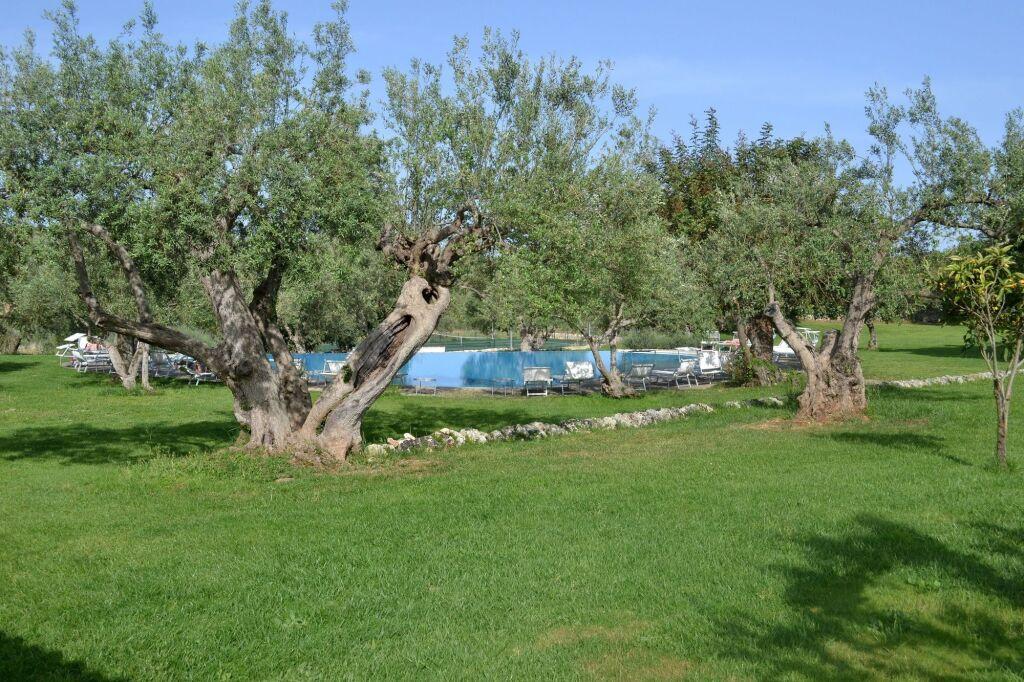 hotel image 20