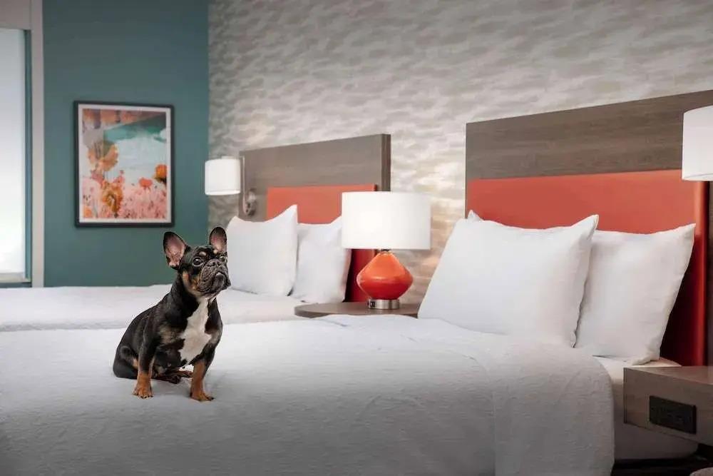 hotel image 38