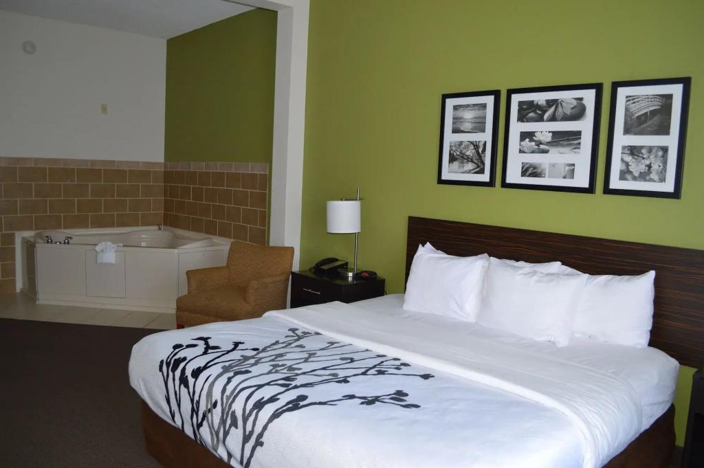 hotel image 10
