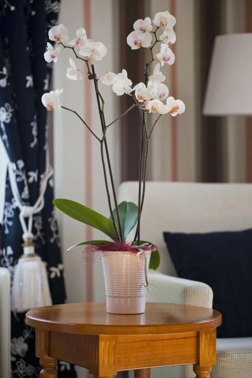 hotel image 33