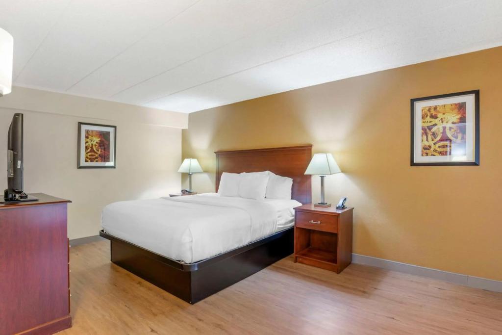 hotel image 8
