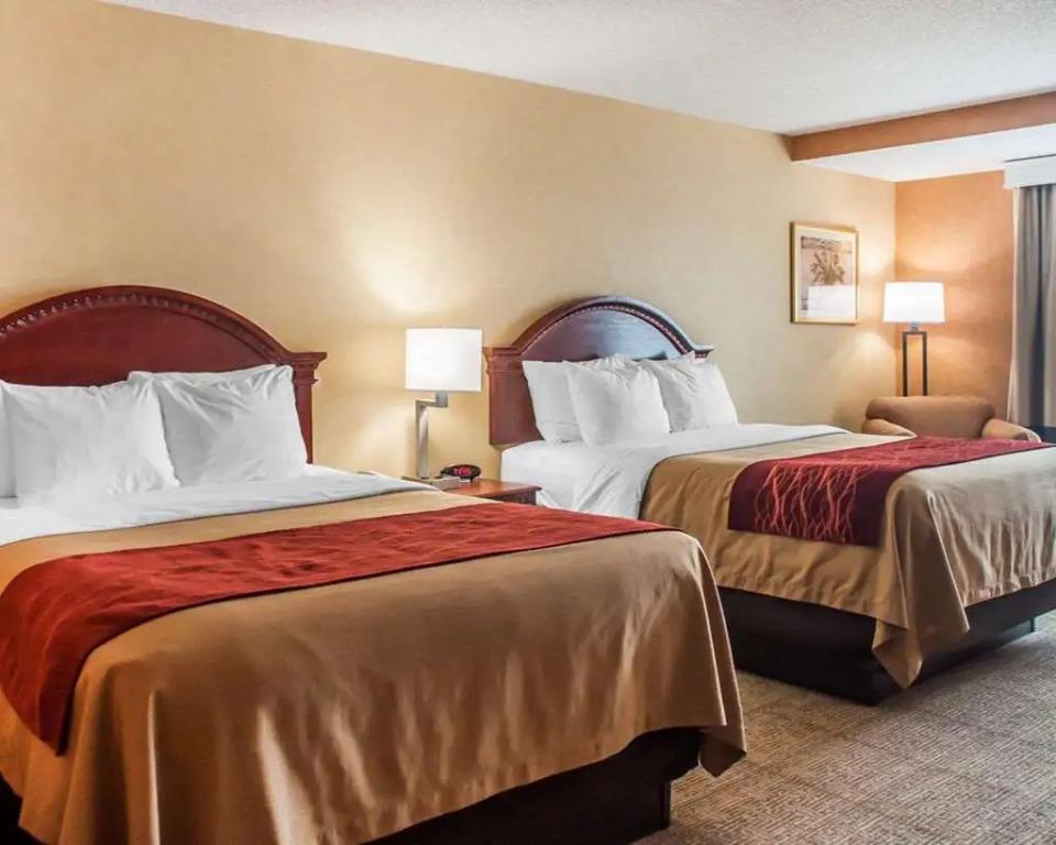 hotel image 10