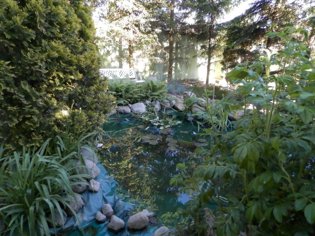 hotel image 35