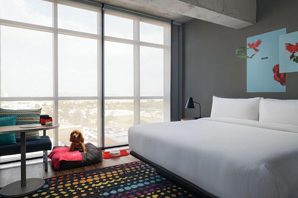 hotel image 20