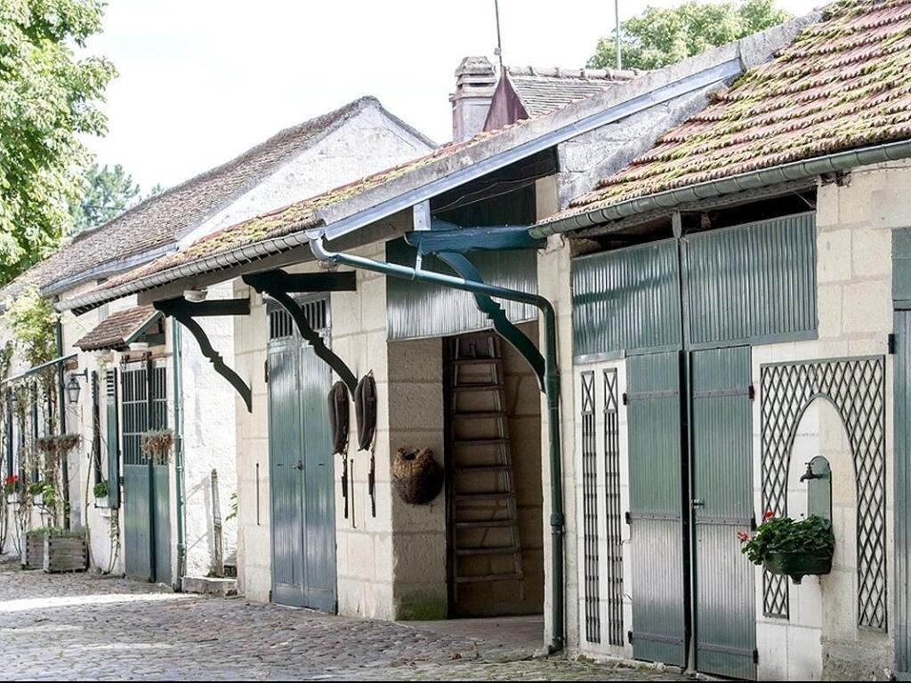 hotel image 16