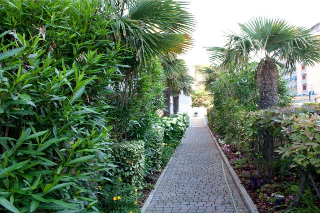 hotel image 35