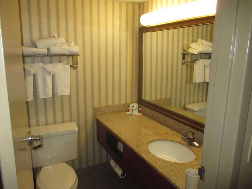 hotel image 41