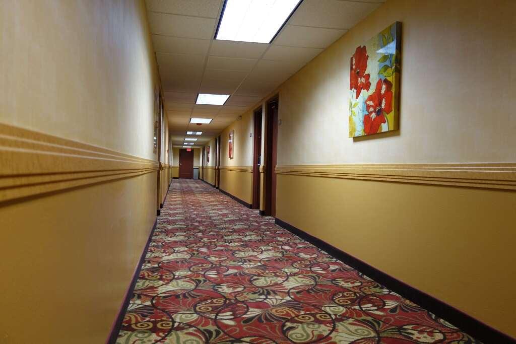 hotel image 7