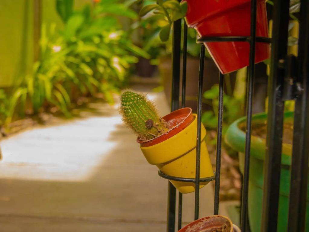 hotel image 24