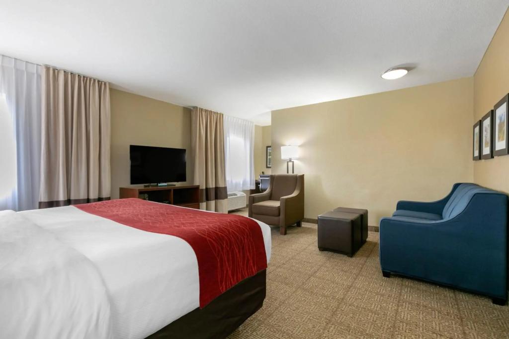 hotel image 67
