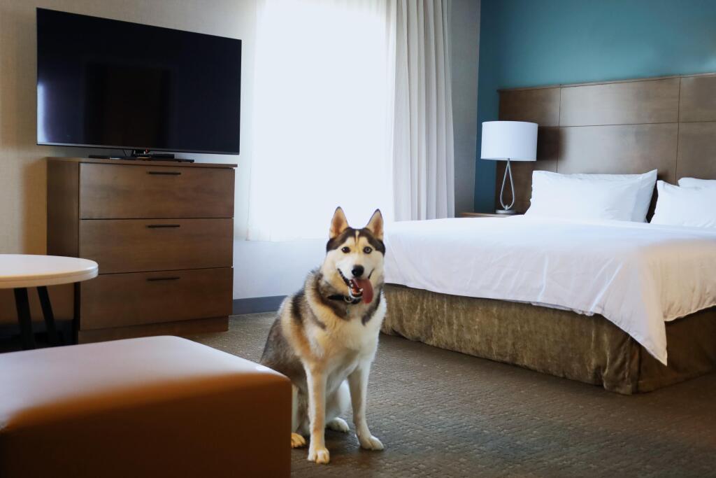 hotel image 31